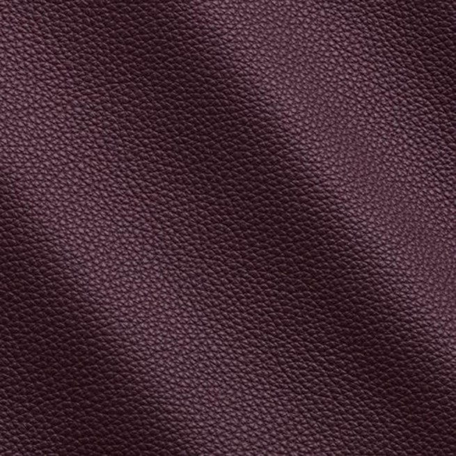 Aligo Group фото