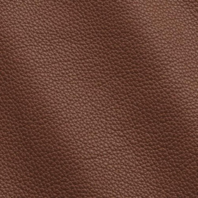 Aligo Group фото