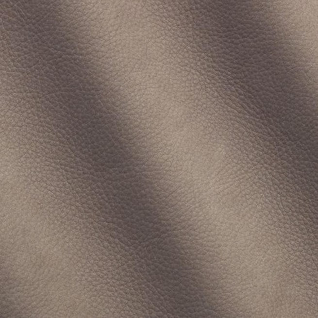 Aligo Group фото