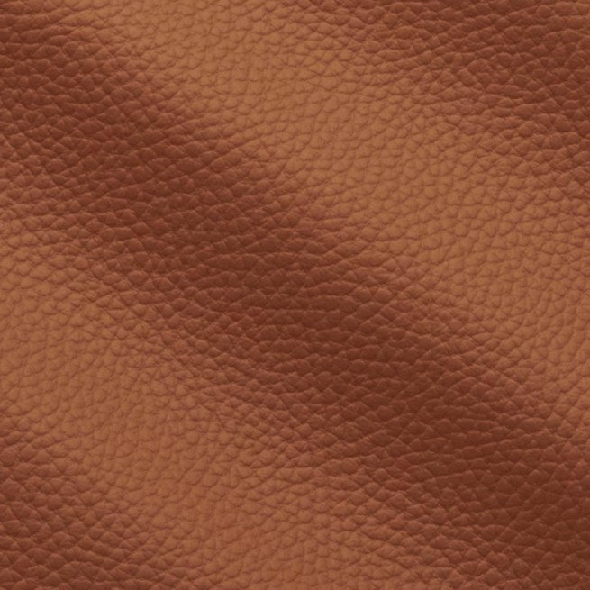 Aligo Group фото