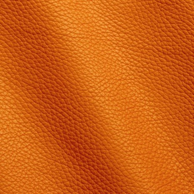 Aligo Group фото