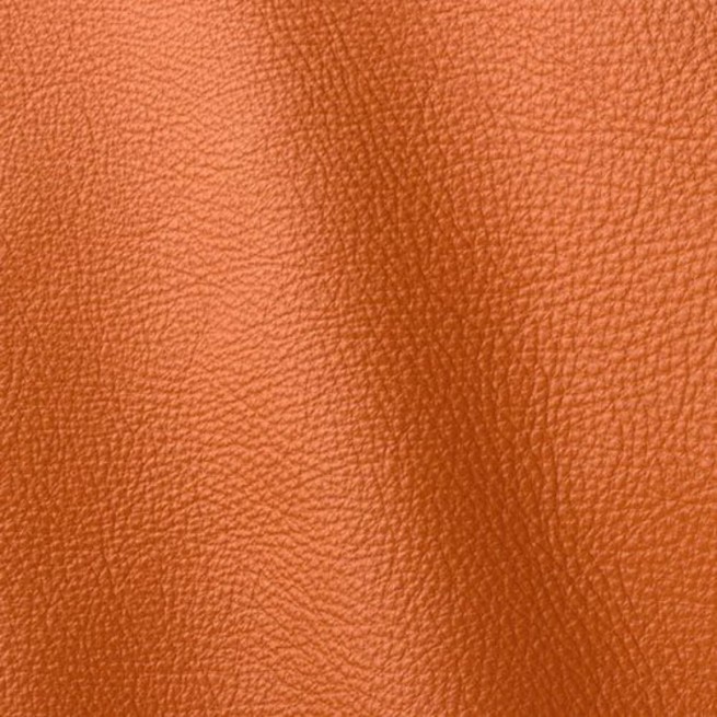 Aligo Group фото