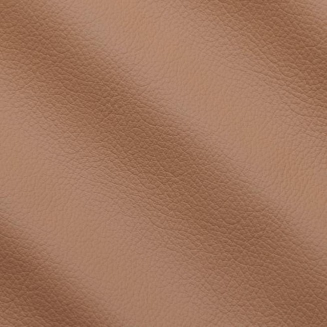 Aligo Group фото