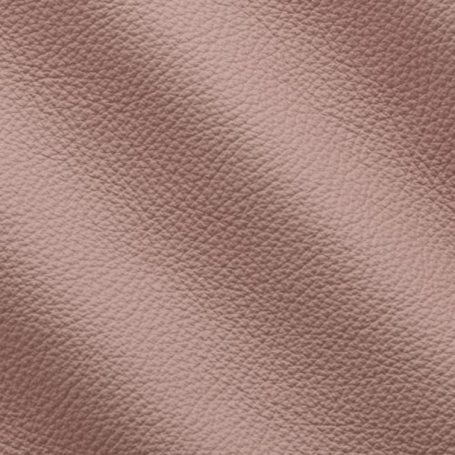 Aligo Group фото