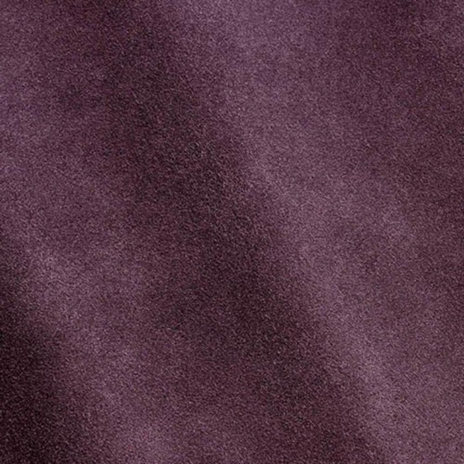 Aligo Group фото