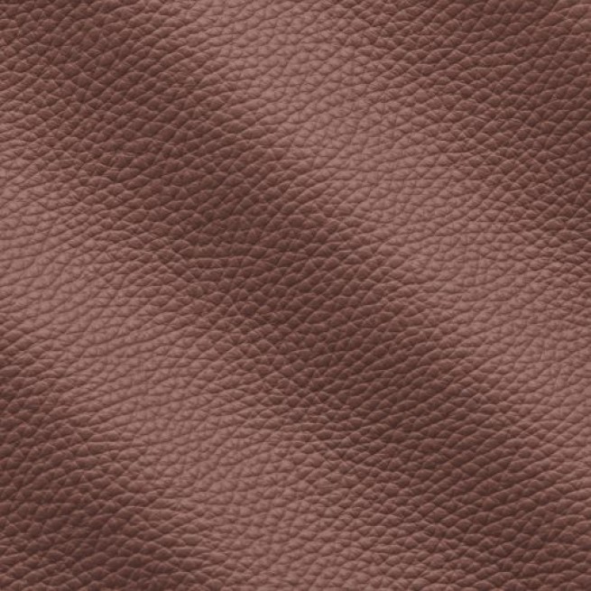 Aligo Group фото