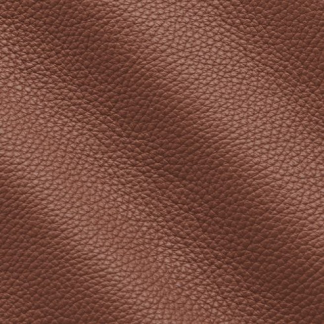 Aligo Group фото