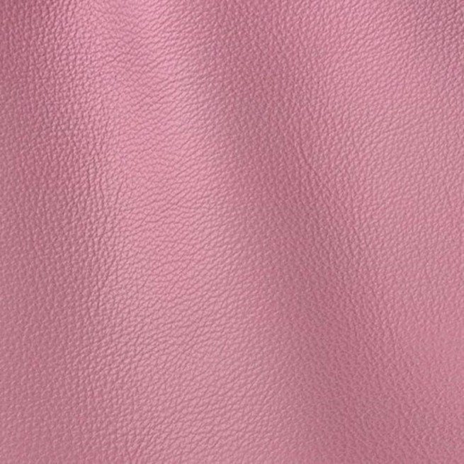 Aligo Group фото