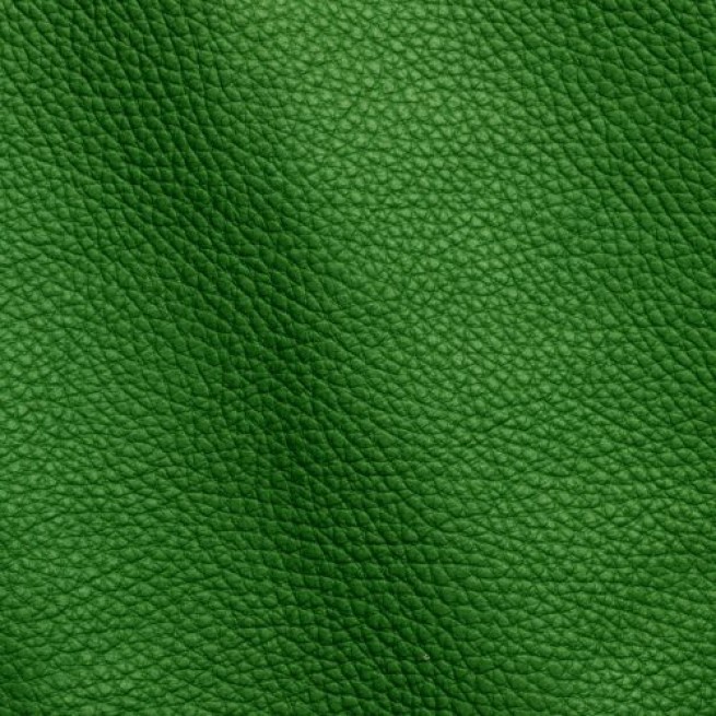 Aligo Group фото