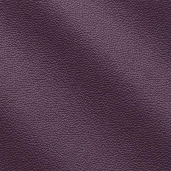 Aligo Group фото