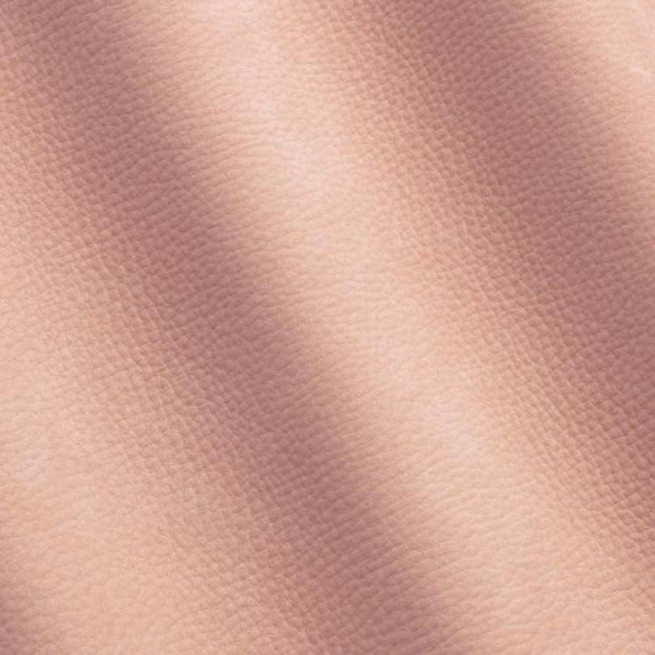 Aligo Group фото