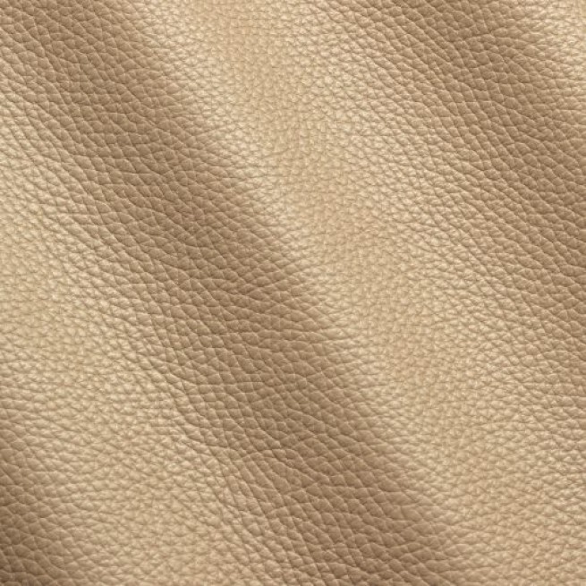 Aligo Group фото