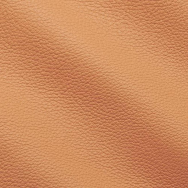 Aligo Group фото