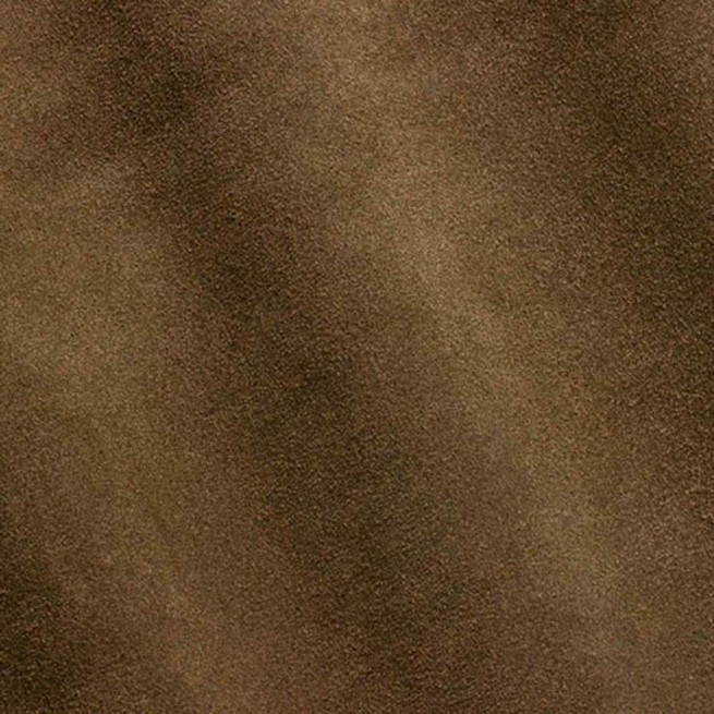 Aligo Group фото