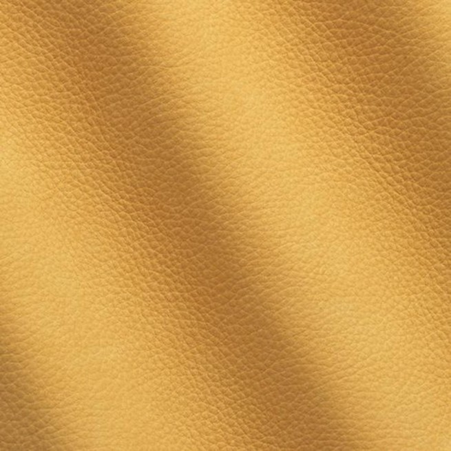 Aligo Group фото