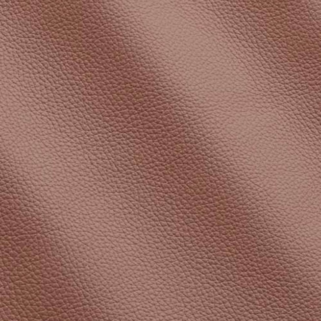 Aligo Group фото