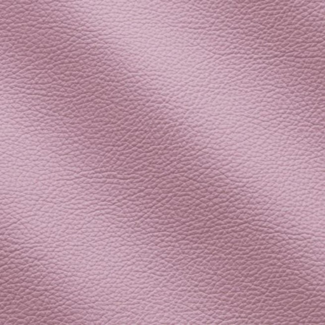 Aligo Group фото