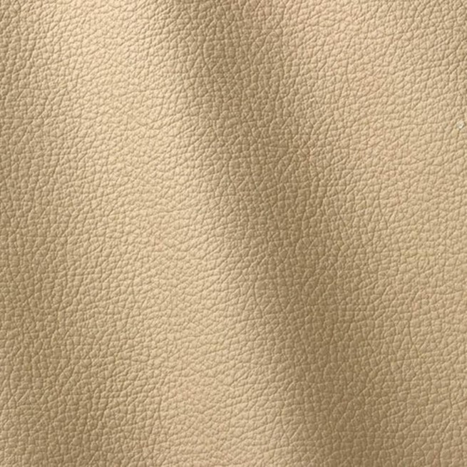 Aligo Group фото