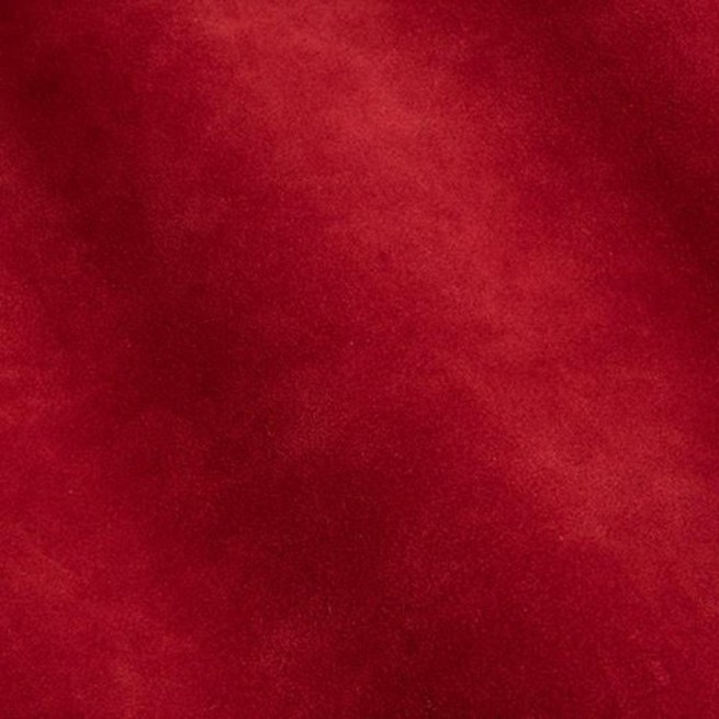 Aligo Group фото