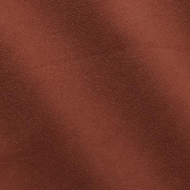 Aligo Group фото