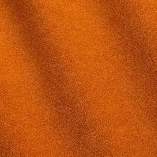 Aligo Group фото