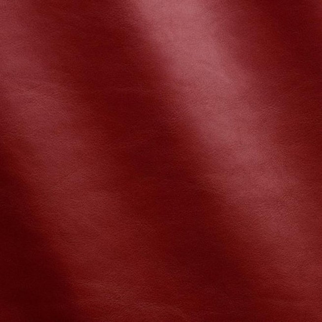 Aligo Group фото