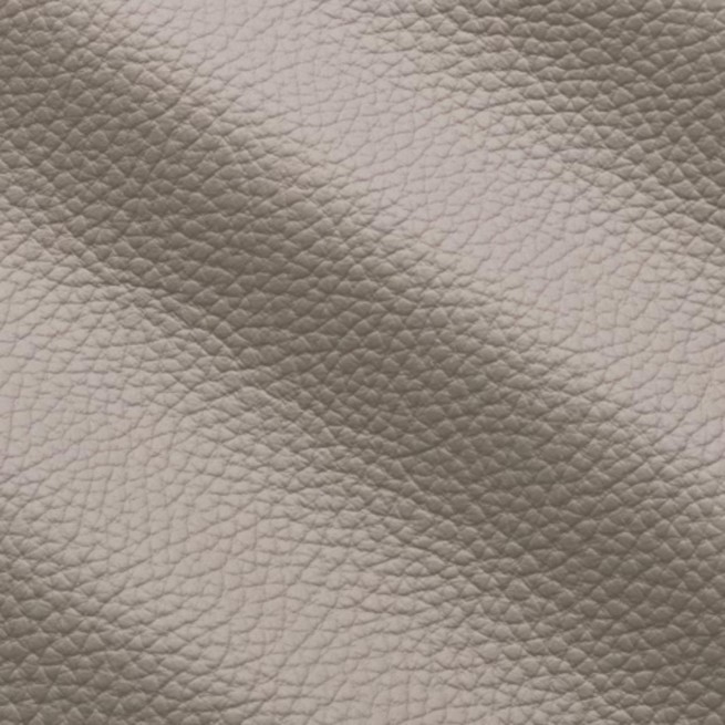 Aligo Group фото