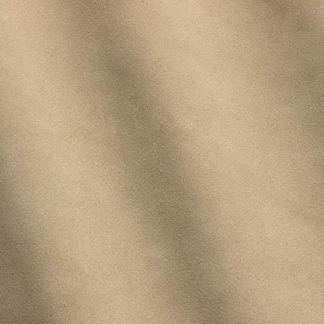 Aligo Group фото