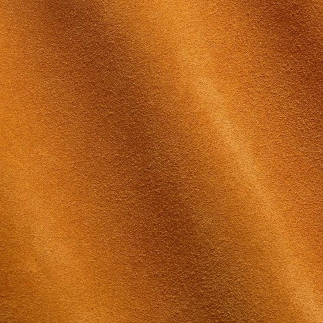 Aligo Group фото