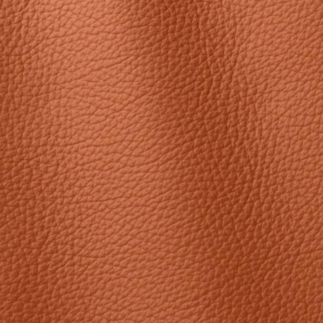 Aligo Group фото