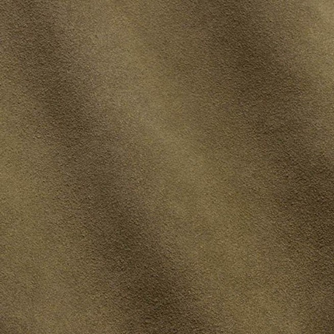 Aligo Group фото