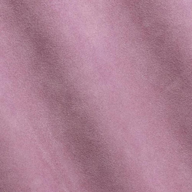 Aligo Group фото