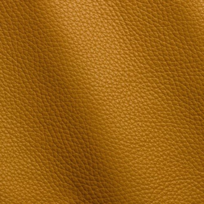 Aligo Group фото