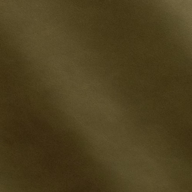 Aligo Group фото