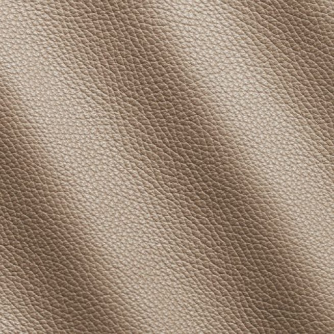 Aligo Group фото