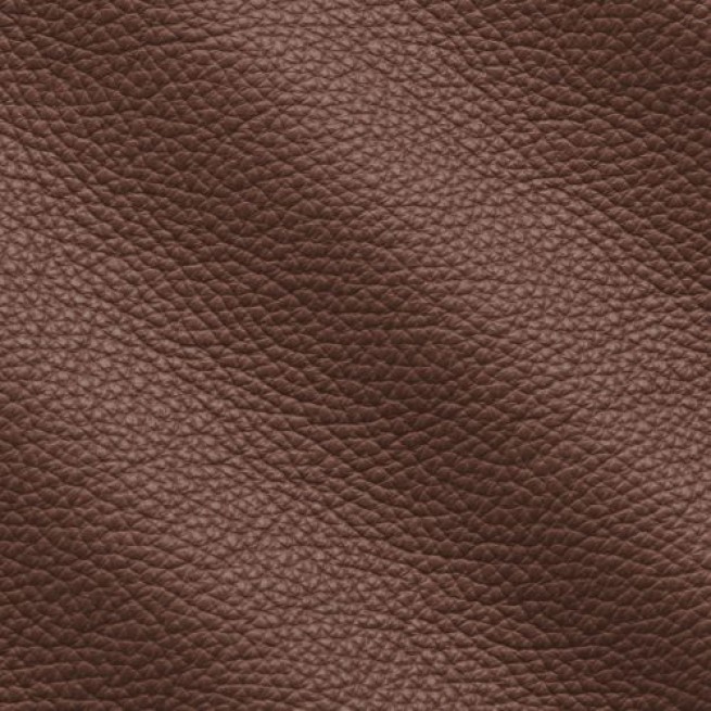 Aligo Group фото