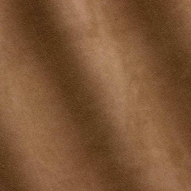 Aligo Group фото