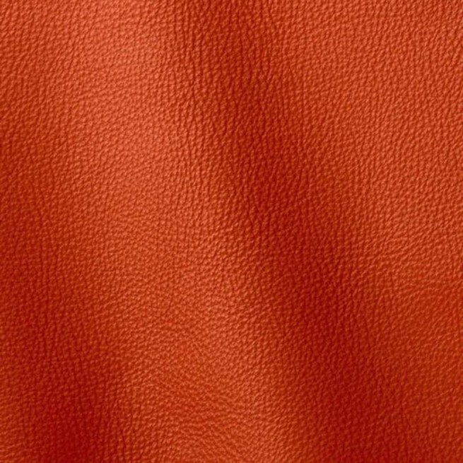 Aligo Group фото