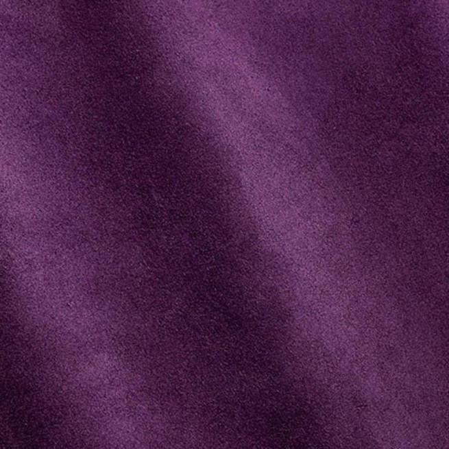 Aligo Group фото