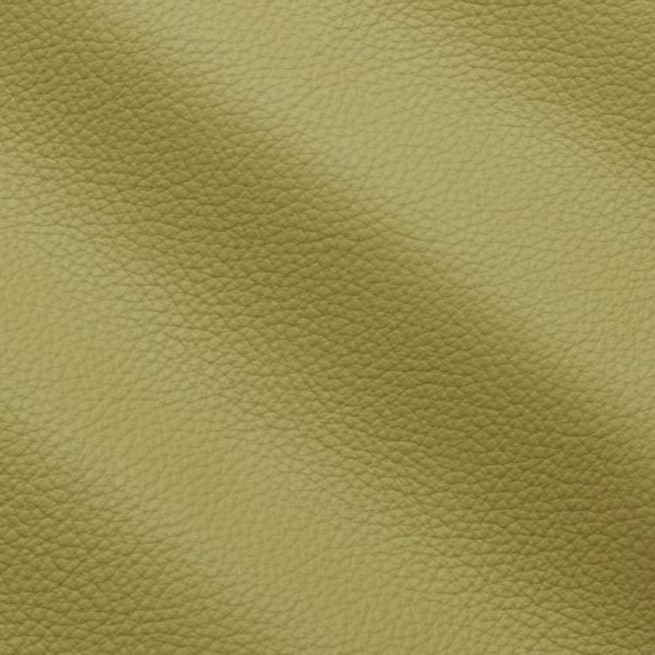 Aligo Group фото