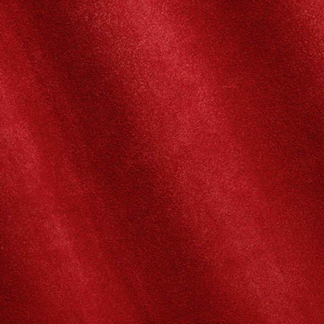 Aligo Group фото