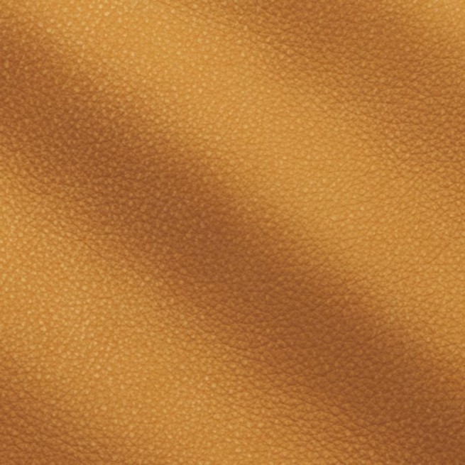 Aligo Group фото