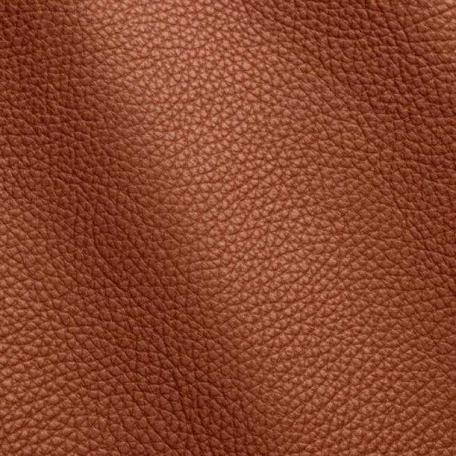 Aligo Group фото