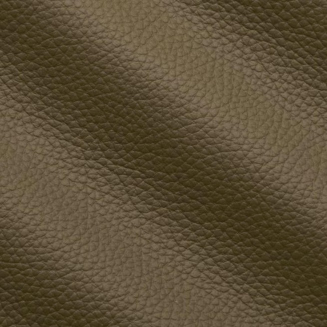 Aligo Group фото