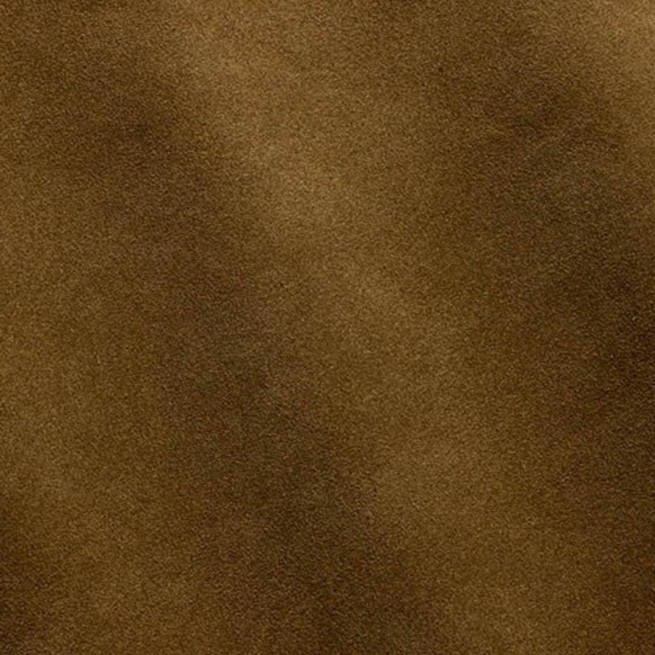 Aligo Group фото