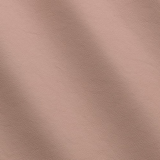 Aligo Group фото