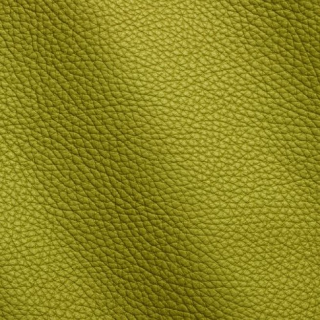 Aligo Group фото