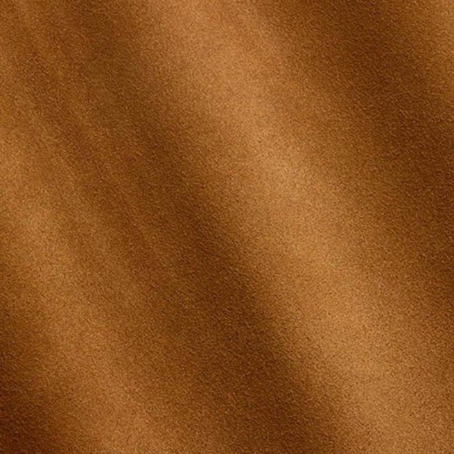 Aligo Group фото