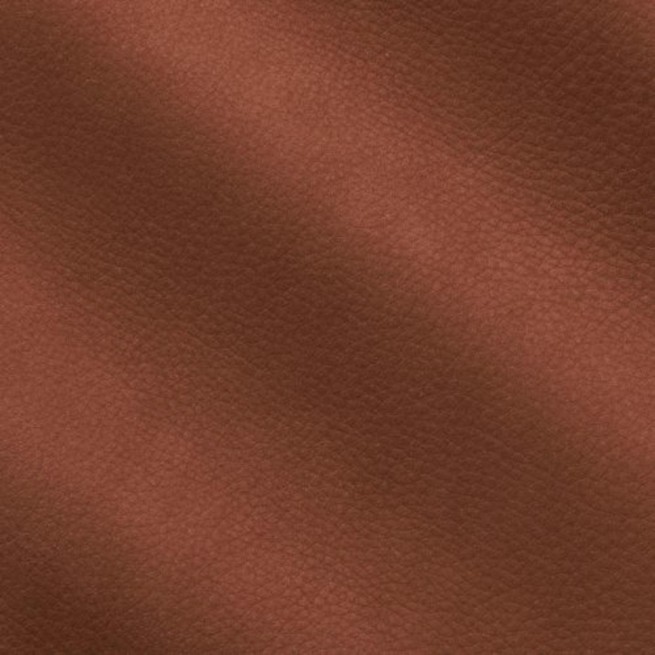 Aligo Group фото