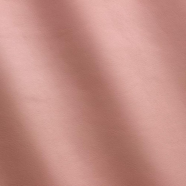 Aligo Group фото